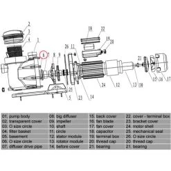 Ricambio Per Pompa Piscina WilTec 50919 50920 50921 Anello O-ring 6 Pompa Acqua Piscina -Bestway Italia 10180626 3