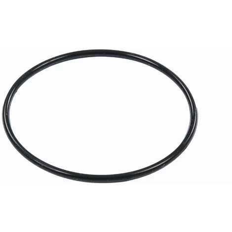 BESTWAY - P6664 - Guarnizione Per Pompa Filtro A Sabbia 3 BESTWAY - P6664 - Guarnizione Per Pompa Filtro A Sabbia