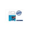 25 Lt ANTIALGHE CONCENTRATO ASTRAL POOL -Bestway Italia 3483614 1