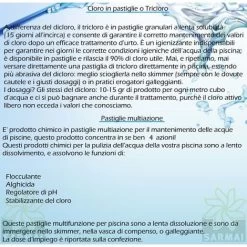 Dicloro 56% Cloro Granulare Trattamento Shock Rapido Acqua Piscina Barattolo Da 1 KG 7 Dicloro 56% Cloro Granulare Trattamento Shock Rapido Acqua Piscina Barattolo Da 1 KG -Bestway Italia 4093994 3