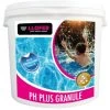 5KG PH PLUS POUDRE -Bestway Italia 41870480 1