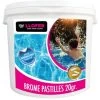 5KG BROME PASTILLES 20GR 2 5KG BROME PASTILLES 20GR -Bestway Italia 41870678 1