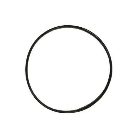 BESTWAY Guarnizione Valvola Selettrice Per Filtro P6536/P61140/P61962/P03822 3 BESTWAY Guarnizione Valvola Selettrice Per Filtro P6536/P61140/P61962/P03822