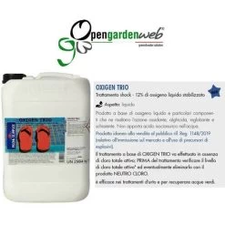Kit Trattamento Acqua Piscina Con Ossigeno - Fino A 100 Mc - OXIGENPOOL -Bestway Italia 54346764 4