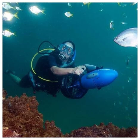 Propulsore Acquatico Yamaha Seascooter RDS250 4 Propulsore Acquatico Yamaha Seascooter RDS250 - immagine 2