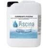 Svernante Piscina Confezione Da 5 Kg 1 Svernante Piscina Confezione Da 5 Kg -Bestway Italia 5979732 1