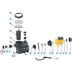 Pezzo Di Ricambio: Dado Per Entrata/uscita Per Pompe Per Piscine SunSun HZS-550/750 -Bestway Italia 6089477 3