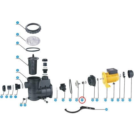 Pezzo Di Ricambio: Guarnizione Meccanica Per Pompa Per Piscine SunSun HZS-550 5 Pezzo Di Ricambio: Guarnizione Meccanica Per Pompa Per Piscine SunSun HZS-550 - immagine 3