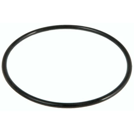 BESTWAY - P6563 - Guarnizione Di Tenuta Per La Camera Prefiltro 3 BESTWAY - P6563 - Guarnizione Di Tenuta Per La Camera Prefiltro