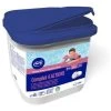 GRE Trattamento 4 Azioni Pastiglie Speciale Liner 5Kg 76012L -Bestway Italia 64846105 1