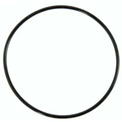 BESTWAY - P6623 - Guarnizione Centrale Per Pompa Filtro 3785 Lt/h
