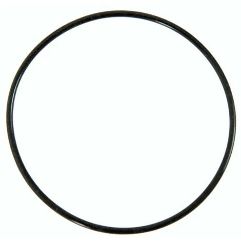 BESTWAY - P6623 - Guarnizione Centrale Per Pompa Filtro 3785 Lt/h 3 BESTWAY - P6623 - Guarnizione Centrale Per Pompa Filtro 3785 Lt/h