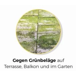 Protect Home Bayer 02940594 giardino Detergente Per Rimuovere GrÃ ¼ Nbelag Fã ¼ R 80, 160 o 400 m², 1 litro -Bestway Italia 86637377 3