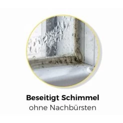 Protect Home Bayer 02940594 giardino Detergente Per Rimuovere GrÃ ¼ Nbelag Fã ¼ R 80, 160 o 400 m², 1 litro -Bestway Italia 86637377 4