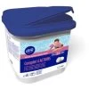 Gre Pastiglie 4 Azioni Da 250 G - 5 Kg 1 Gre Pastiglie 4 Azioni Da 250 G - 5 Kg -Bestway Italia 91106308 1
